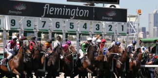 Nine takes Melbourne Cup Carnival free-to-air in deal with VRC and Tabcorp Nine takes Melbourne Cup Carnival free-to-air in deal with VRC and Tabcorp