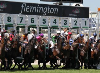Nine takes Melbourne Cup Carnival free-to-air in deal with VRC and Tabcorp Nine takes Melbourne Cup Carnival free-to-air in deal with VRC and Tabcorp