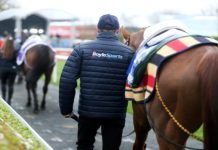 BoyleSports elevates Irish Grand National with increased prize pot Man leading out a horse before a race.