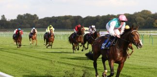 Spotlight Sports rebrands content hubs under ‘Halo’ umbrella The Frankel colt Collide ridden by James Doyle and owned by Mr K Abdullah wins at Nottingham Races.