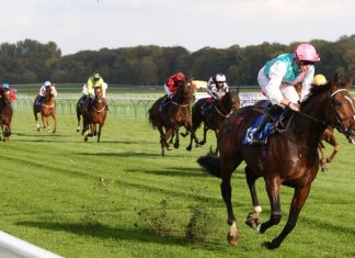 Spotlight Sports rebrands content hubs under ‘Halo’ umbrella The Frankel colt Collide ridden by James Doyle and owned by Mr K Abdullah wins at Nottingham Races.