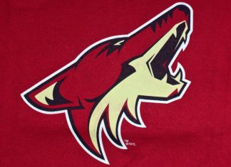 NHL resolves Coyotes’ ‘complex’ issue with relocation NHL Phoenix Arizona Coyotes club logo printed on textile equipment ,product shot.