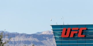 Forbes names UFC as most valuable combat sports company at $11.3bn credit: Shutterstock