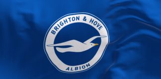 Brighton attributes record profits to best-ever Premier League season credit: Shutterstock