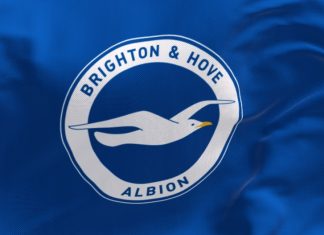 Brighton attributes record profits to best-ever Premier League season credit: Shutterstock