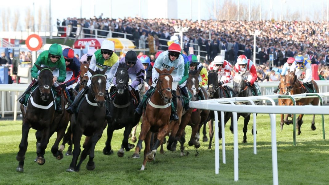 Grand National UK horse racing (UK Tote Group)