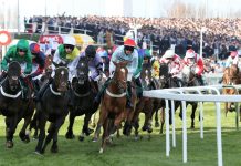 Glen Swinney, Racing1 & ARC: critical UK racing stays relevant for both bookies and customers Grand National UK horse racing (UK Tote Group)