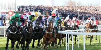 Glen Swinney, Racing1 & ARC: critical UK racing stays relevant for both bookies and customers Grand National UK horse racing (UK Tote Group)