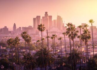 Disney CEO Iger & wife on course for record $250m Angel City FC investment credit: Shutterstock