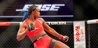 PFL and Canal+ secure broadcast deal for French speaking countries credit: Shutterstock