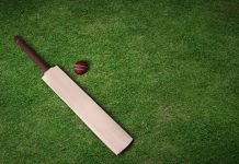 UAE to replace Bangladesh as ICC Women’s T20 World Cup host Cricket bat and ball on grass pitch.