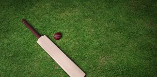 Asian Cricket Confederation gets 70% markup on new media rights cycle Cricket bat and ball on grass pitch.