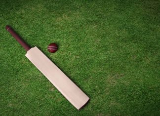 Asian Cricket Confederation gets 70% markup on new media rights cycle Cricket bat and ball on grass pitch.