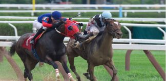 ARC and 1/ST launch initiative to connect US and UK racing Heading to the finish line at Saratoga.
