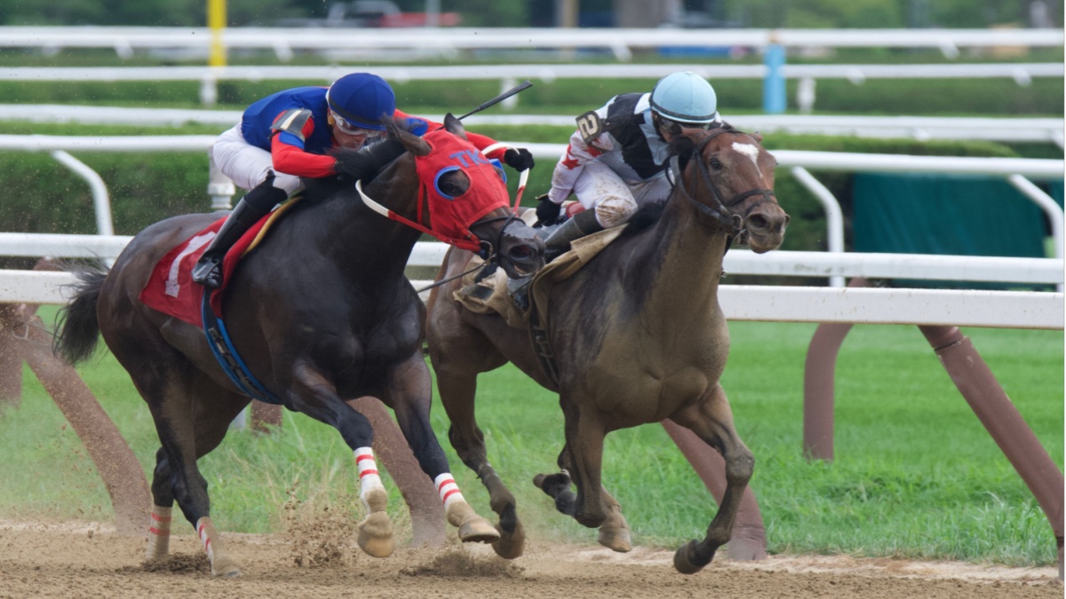 Heading to the finish line at Saratoga.
