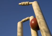 Delhi Capitals takes majority stake in Hampshire Cricket Club Cricket ball hitting wickets.