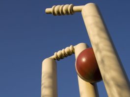 New Zealand Cricket selects NZ20 as T20 league future Cricket ball hitting wickets.