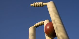 Delhi Capitals takes majority stake in Hampshire Cricket Club Cricket ball hitting wickets.