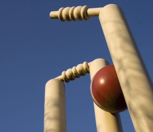 New Zealand Cricket selects NZ20 as T20 league future Cricket ball hitting wickets.