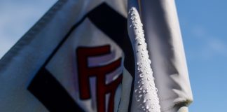 Fulham FC parters with IUX as new trading partner credit: Shutterstock