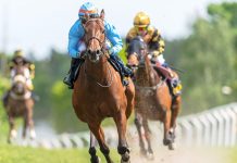 Goodwood Racecourse and 1/ST create international racing pathway STOCKHOLM, SWEDEN - JUNE 6, 2022: Racinghorses with jockeys out of a curve at the Nationaldagsgaloppen in Stockholm.
