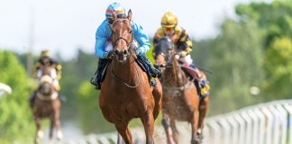 Goodwood Racecourse and 1/ST create international racing pathway STOCKHOLM, SWEDEN - JUNE 6, 2022: Racinghorses with jockeys out of a curve at the Nationaldagsgaloppen in Stockholm.