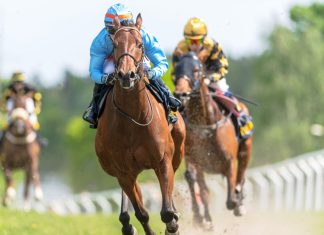 Goodwood Racecourse and 1/ST create international racing pathway STOCKHOLM, SWEDEN - JUNE 6, 2022: Racinghorses with jockeys out of a curve at the Nationaldagsgaloppen in Stockholm.