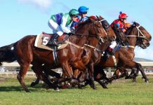ARC clinches bookmaker partner to support Racing1 reinvigoration initiative