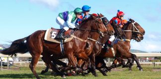 ARC clinches bookmaker partner to support Racing1 reinvigoration initiative