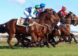 ARC clinches bookmaker partner to support Racing1 reinvigoration initiative