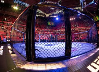 UFC to payout $375m to fighters after decade-long antitrust case credit: Delmiro Junior / Shutterstock