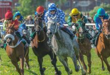ATG pledges to return Swedish Racing to growth with government assistance Swedish horse racing