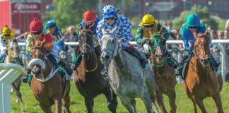 ATG pledges to return Swedish Racing to growth with government assistance Swedish horse racing