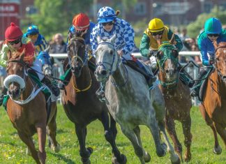 ATG pledges to return Swedish Racing to growth with government assistance Swedish horse racing