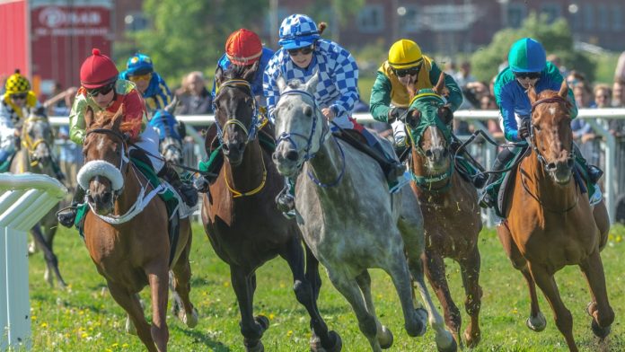 Swedish horse racing