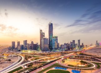 Saudi looks to T20 cricket as part of latest SURJ investment credit: KhaledSaad001/Shutterstock