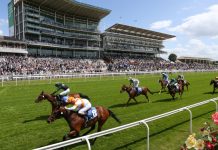 Betting regulation is quietly reshaping horse racing’s economics Image of horse racing at York Races in 2022
