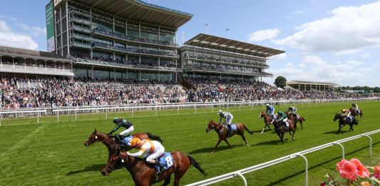 Image of horse racing at York Races in 2022
