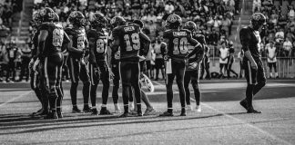 ToonieBet named betting and casino partner of the Canadian Football League Image of a Canadian Football League Game between Winnipeg Blue Bombers at Toronto Argonauts game