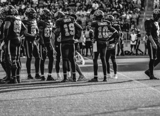 ToonieBet named betting and casino partner of the Canadian Football League Image of a Canadian Football League Game between Winnipeg Blue Bombers at Toronto Argonauts game