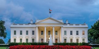 UFC redefines backyard wrestling with White House plans White House Lawn at dusk.