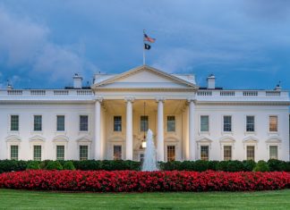 UFC redefines backyard wrestling with White House plans White House Lawn at dusk.