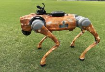 How AI and emotional tech are transforming live sports ?