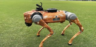 How AI and emotional tech are transforming live sports ?
