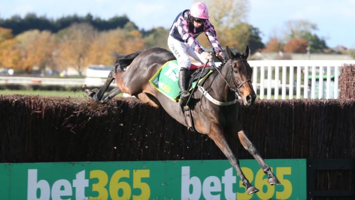 Geryville ridden by Alain Cawley and trained by Micky Hammond jumps the last fence sponsored by bet365.