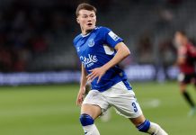 Everton and Fulham first to act on Premier League’s gambling shirt ban