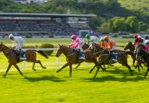 Horse racing missing out on a 200m global audience, new report suggests Racehorses in a line gallop up to the Winning Line together