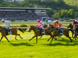 UK to protect sports streaming rights from paywalls UK sports streaming free-to-air protected status