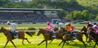 Horse racing missing out on a 200m global audience, new report suggests Racehorses in a line gallop up to the Winning Line together