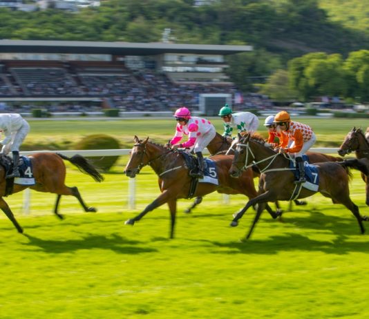 UK to protect sports streaming rights from paywalls UK sports streaming free-to-air protected status